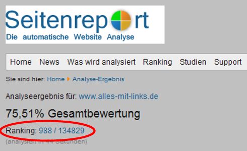 seitenreport_top_1000