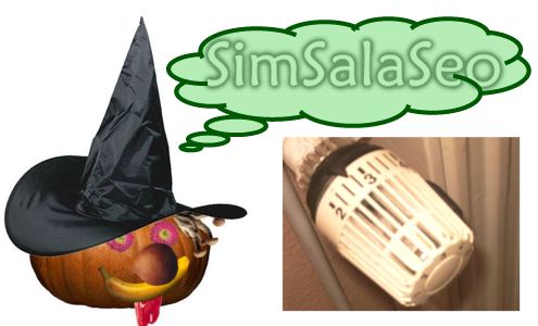 sinsalaseo_thermostatventil